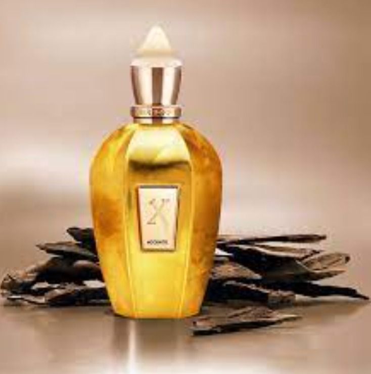 Xerjoff Accento Overdose Unisex EDP Perfume Minyak Wangi