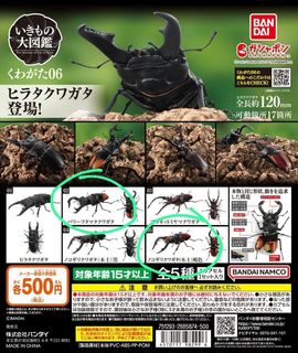 （分類：）位於 。 由 alephtang75299 提交（商品編號 1264586174，圖片 1）。簡介： 。