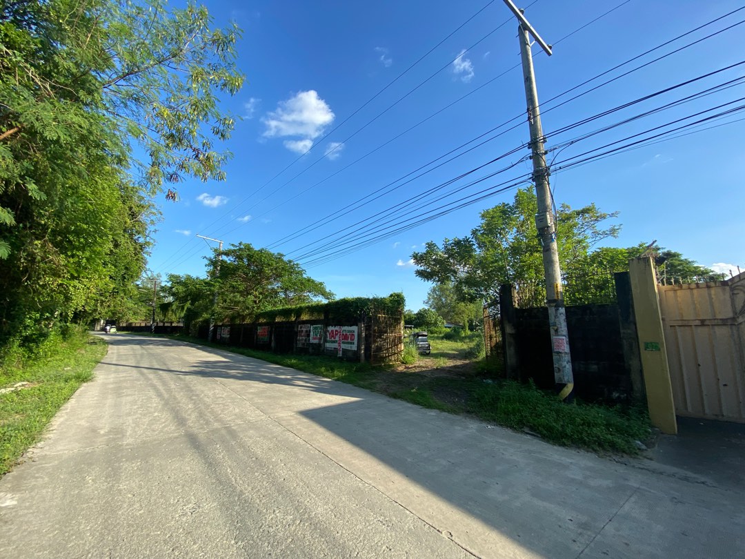 Agricultural Land at Brgy Dolores Tarlac City, Property, For Sale, Lot