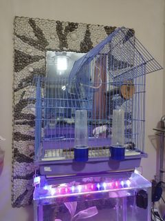 Bird cage with accessories
