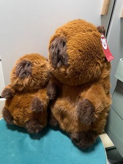 （分類：）位於 。 由 lovesunshineee 提交（商品編號 1264603797，圖片 1）。簡介： 。
