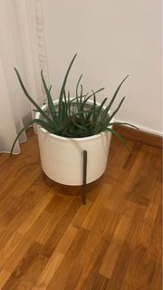 (Category: ) located in . Submitted by hagee010 (Listing ID 1264571989, Image 1). Description: .