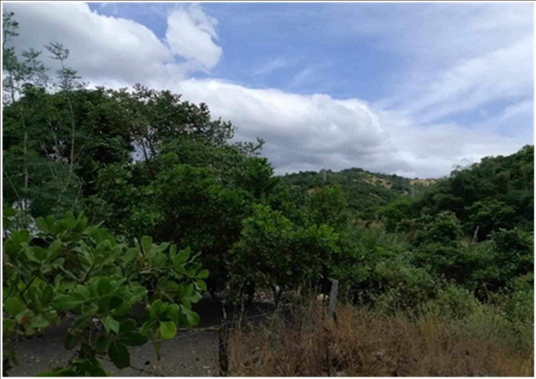 For Sale Morong Bataan 11 hectare with access to beach, Property, For