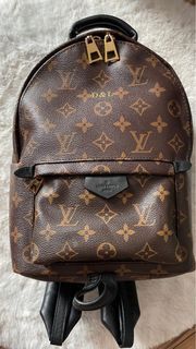 ❗SALE❗Louis Vuitton Dupe Backpack, Luxury, Bags & Wallets on Carousell