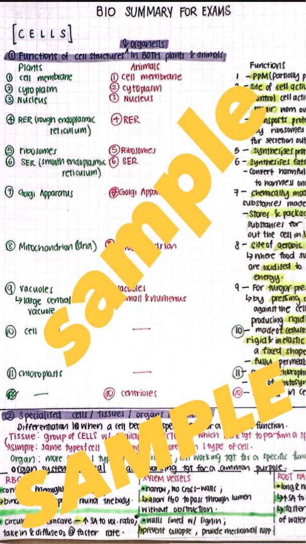 O Level Biology summary notes, Hobbies & Toys, Books & Magazines ...