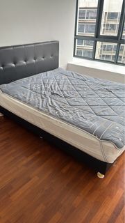 (Category: ) located in . Submitted by eukanuba (Listing ID 1264507000, Image 1). Description: .