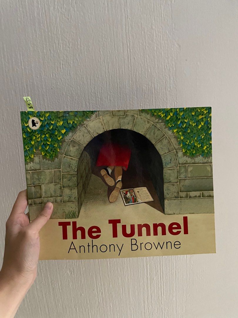 the-tunnel-by-anthony-browne-hobbies-toys-books-magazines