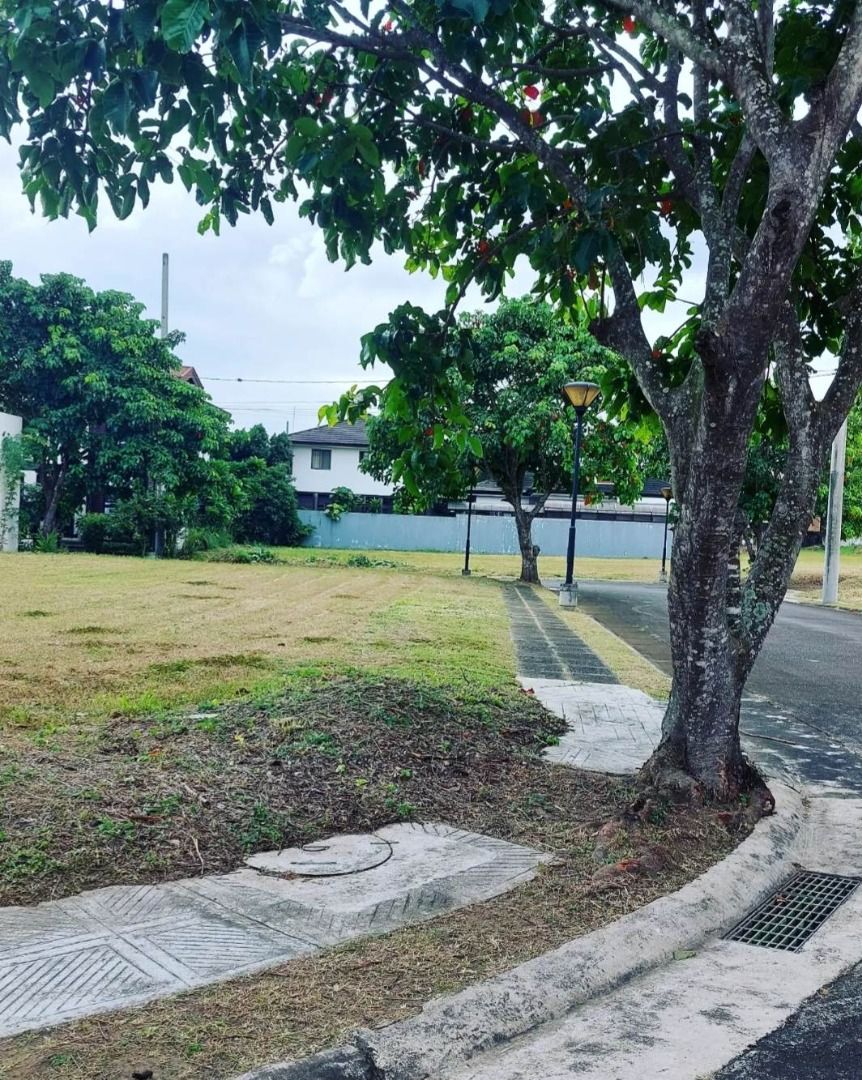 Verdana Homes Mamplasan for sale corner lot Binan Laguna, Property, For