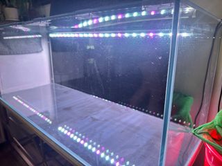 (Category: ) located in . Submitted by afai17 (Listing ID 1264779709, Image 1). Description: .