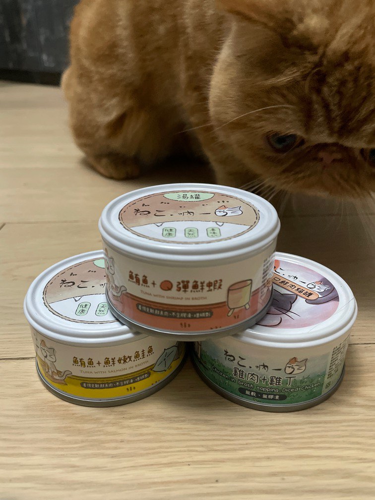 ねこ吶一口無榖貓湯罐, 寵物用品, 寵物食品- Carousell