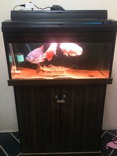 (Category: ) located in . Submitted by hazryyy (Listing ID 1264679541, Image 1). Description: .