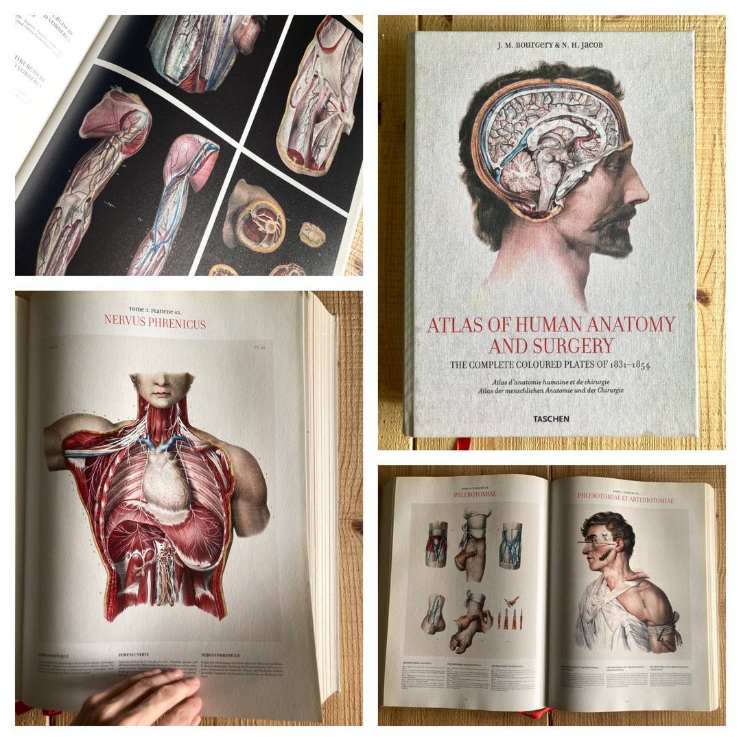 醫學人體全解剖圖鑑 ‍⚕️Atlas of Human Anatomy and Surgery