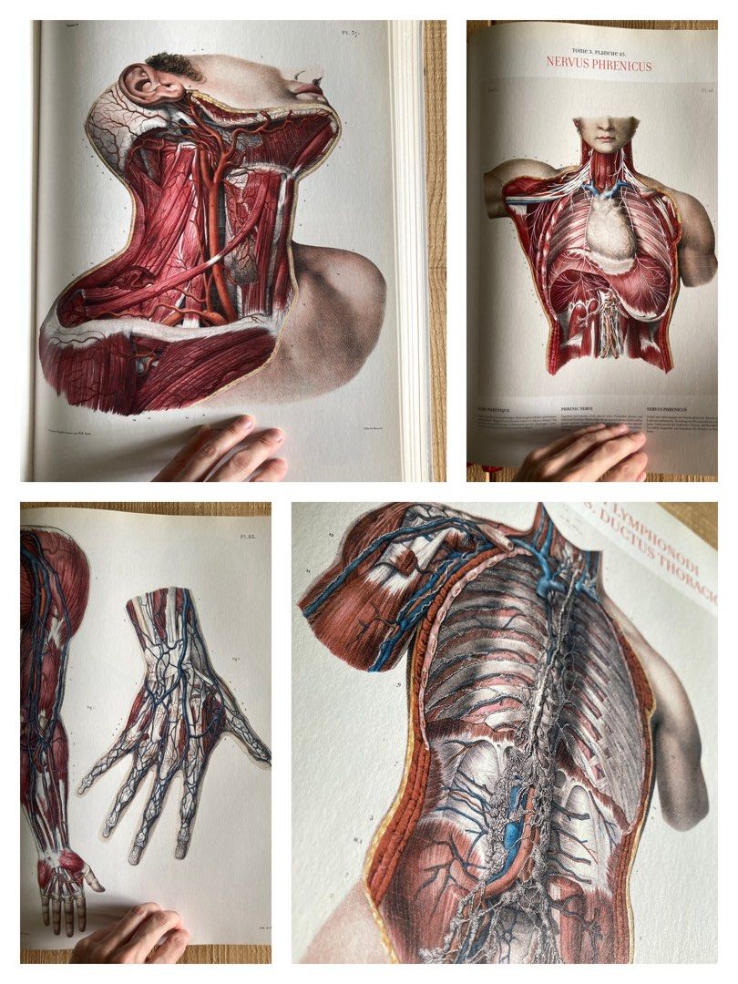 醫學人體全解剖圖鑑  👨‍⚕️Atlas of Human Anatomy and Surgery