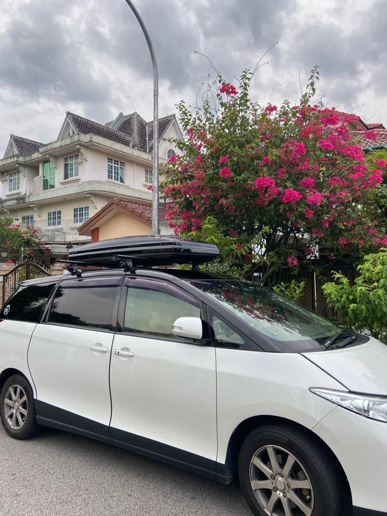 Roof luggage box for sale hotsell