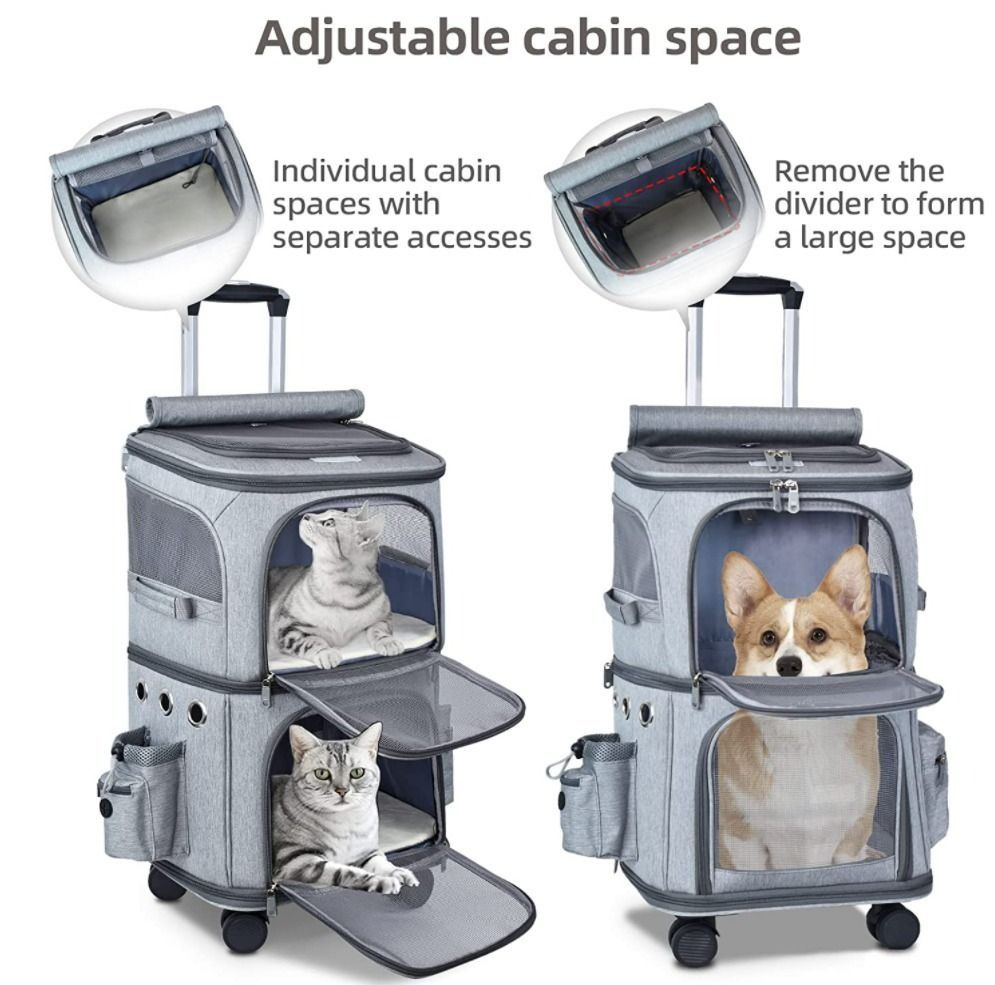 Cat carrier for deals 3 cats