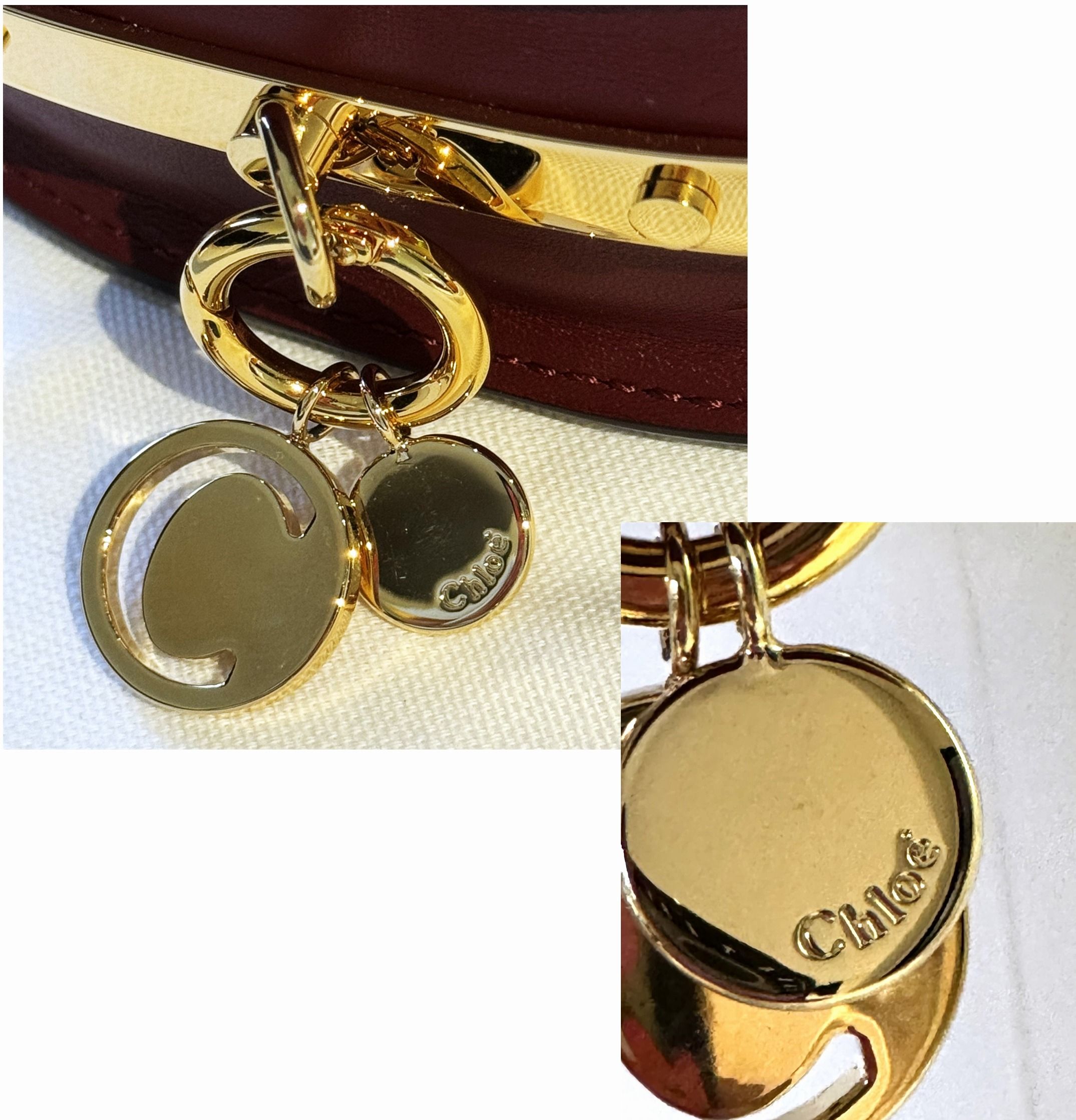 Chloe nile on sale minaudiere gold