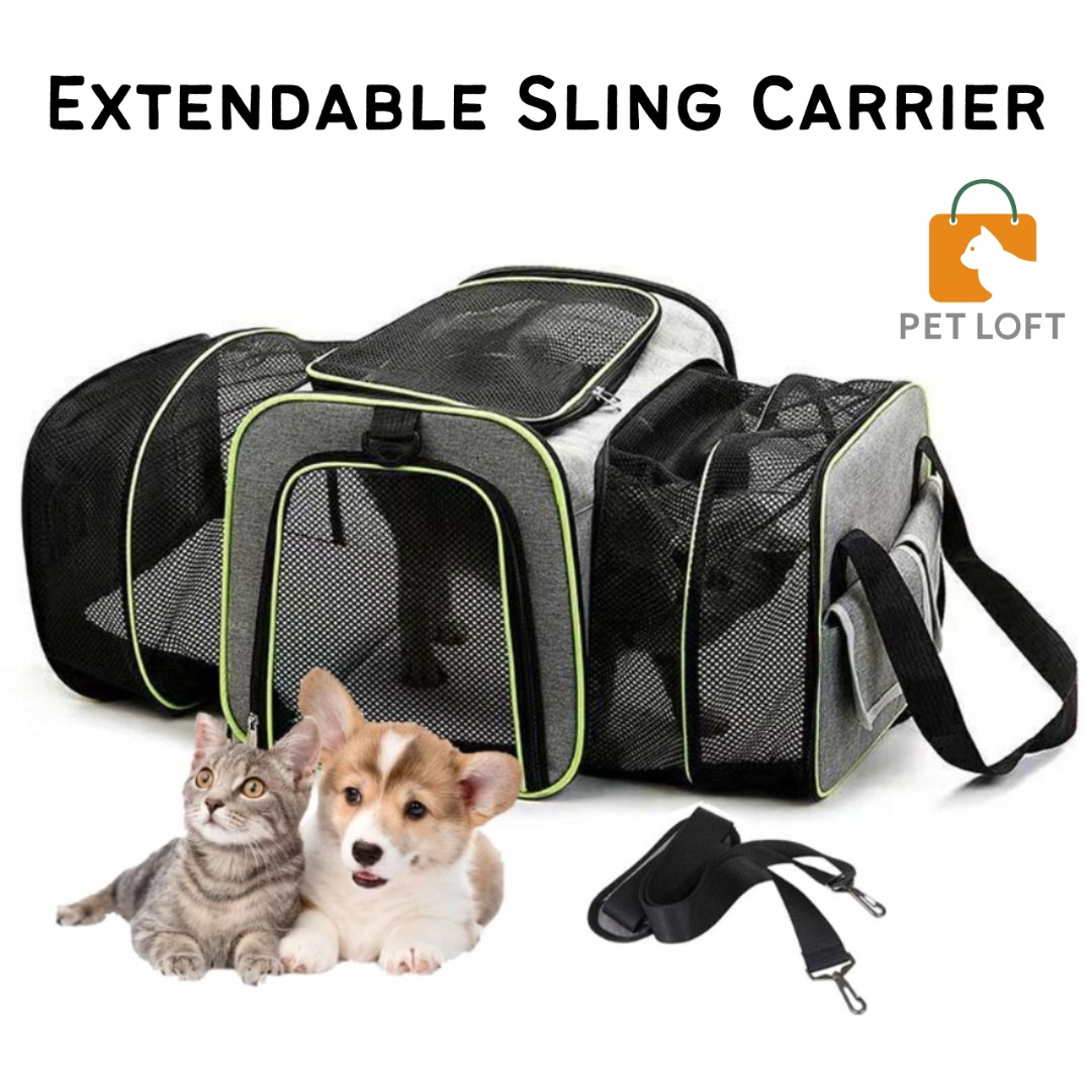 Dadypet pet hot sale carrier