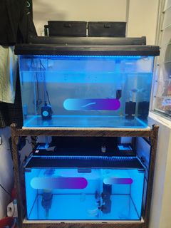 (Category: ) located in . Submitted by raymondghost (Listing ID 1264769059, Image 1). Description: .
