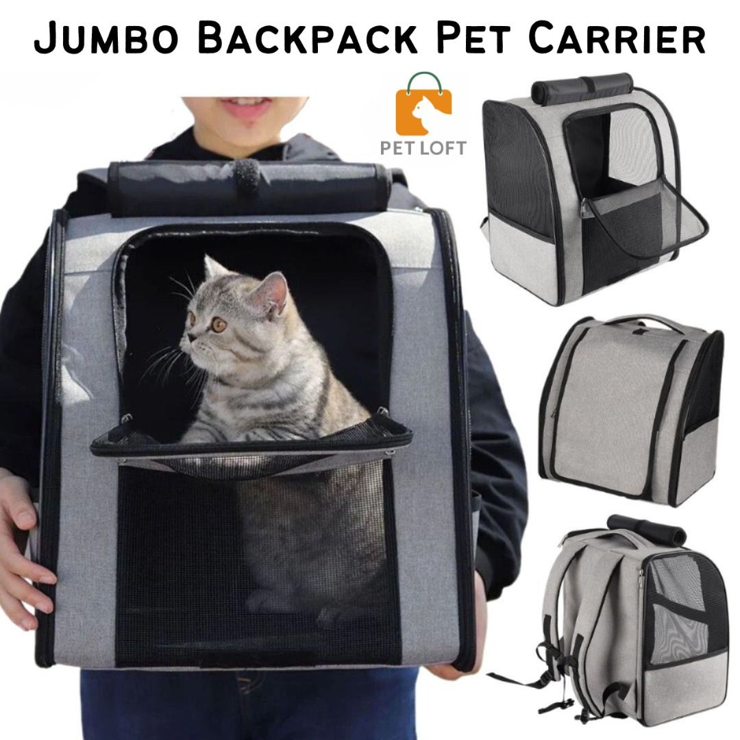 Large pet backpack sale