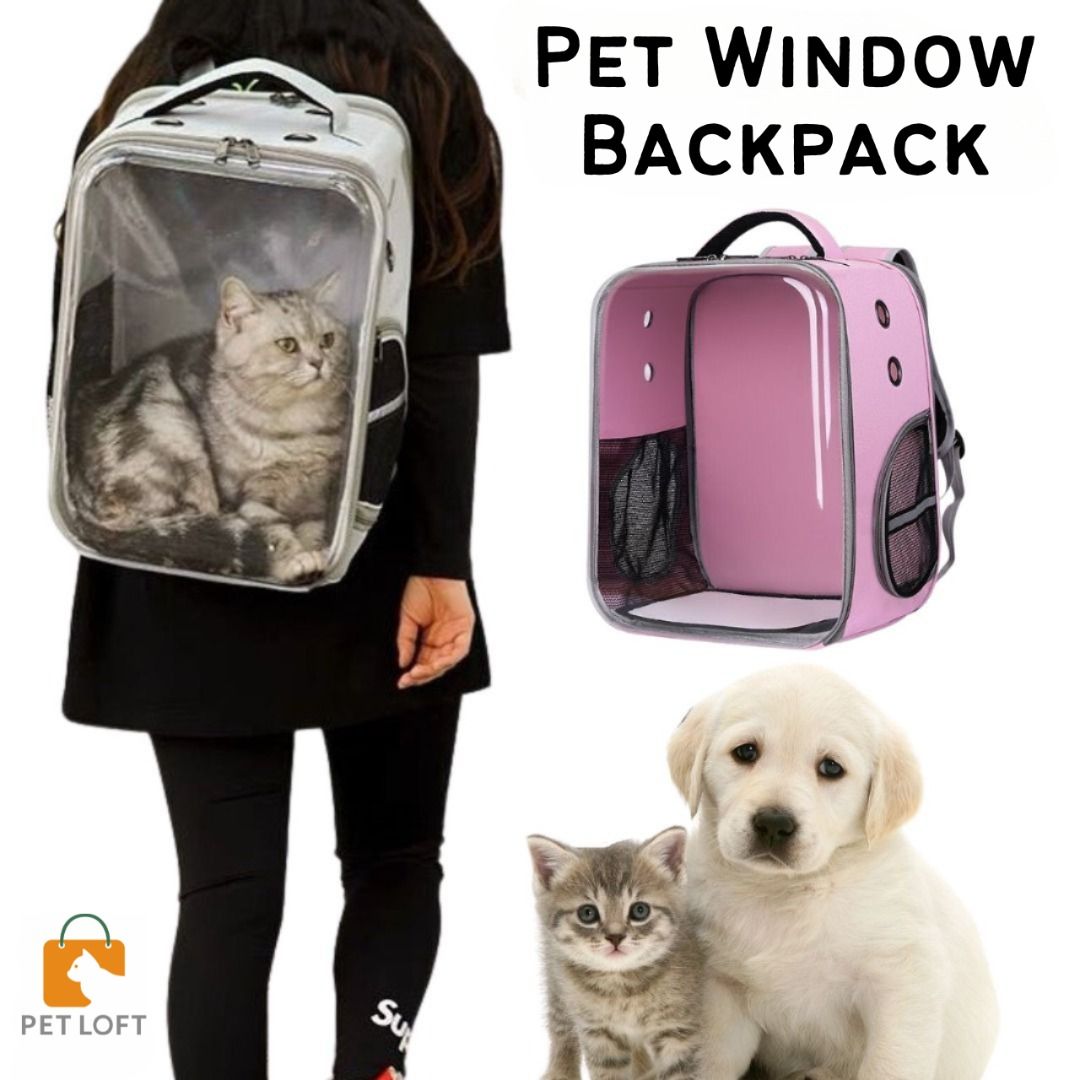 Dog clearance window backpack