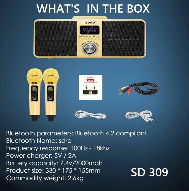 SDRD®︎Karaoke Speaker Manual SD-318 その他