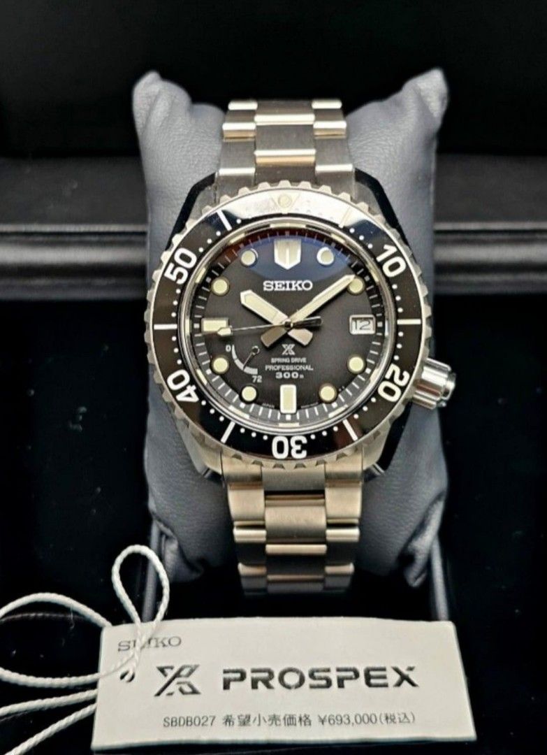 Seiko spring drive professional