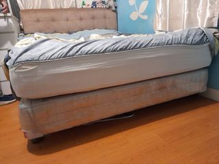 德泰獨立筒 標準雙人床墊床組