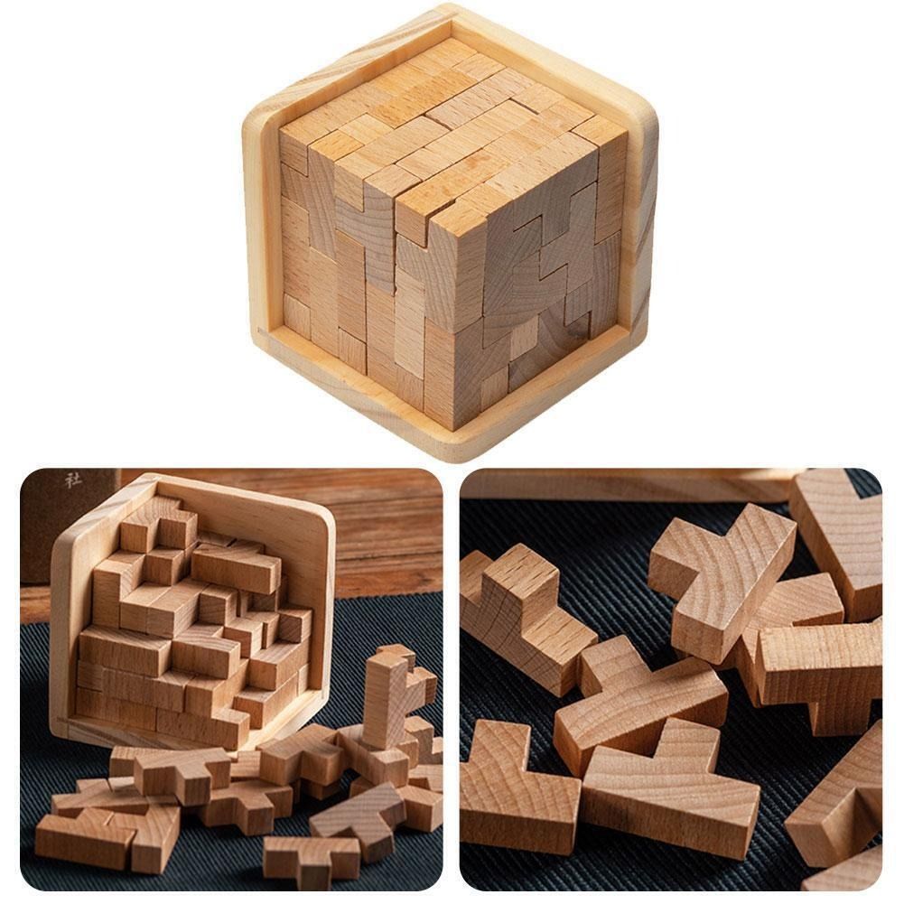 Wooden IQ Puzzle