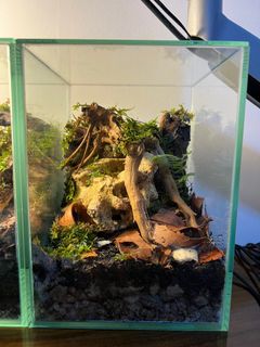 (Category: ) located in . Submitted by bibinemo (Listing ID 1268782572, Image 1). Description: .