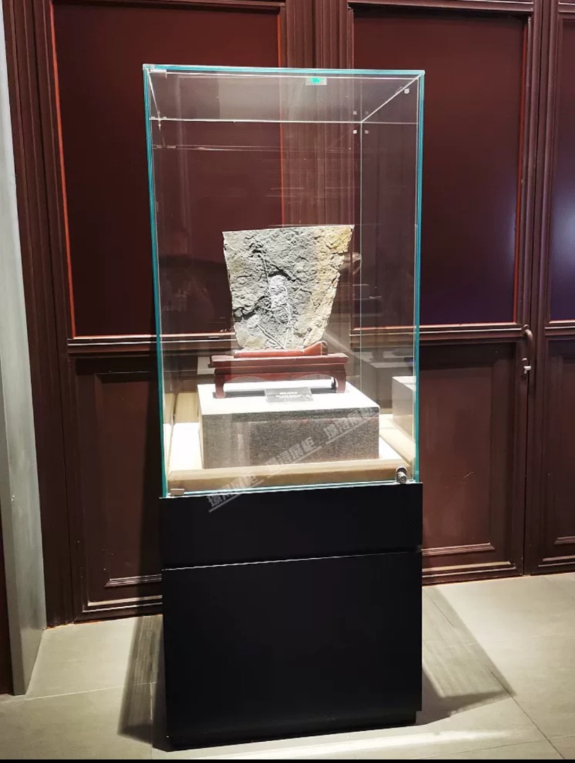 Elegance in Glass: Custom Museum Display Cabinet, Furniture & Home ...