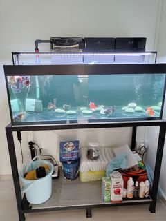 (Category: ) located in . Submitted by choochooland (Listing ID 1268826390, Image 1). Description: .