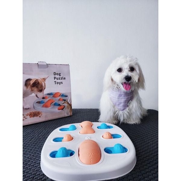 Pet toy delivery on sale