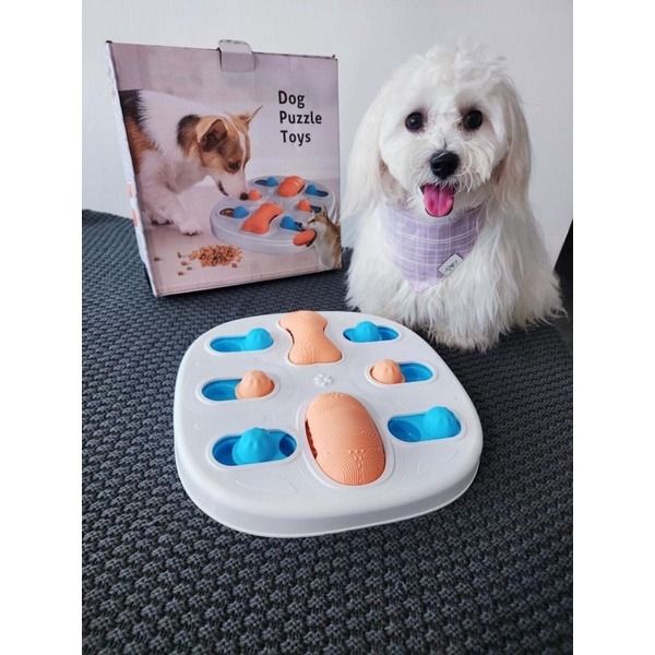 Pet toy delivery hotsell