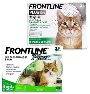（分類：）位於 。 由 topntails 提交（商品編號 1222836626，圖片 1）。簡介： 。