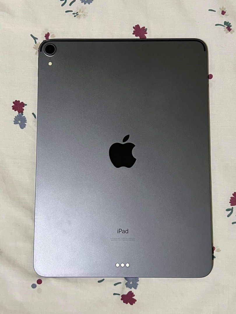 iPad Pro 11インチ 第1世代 256GB アップルペンシル付き - iPad本体