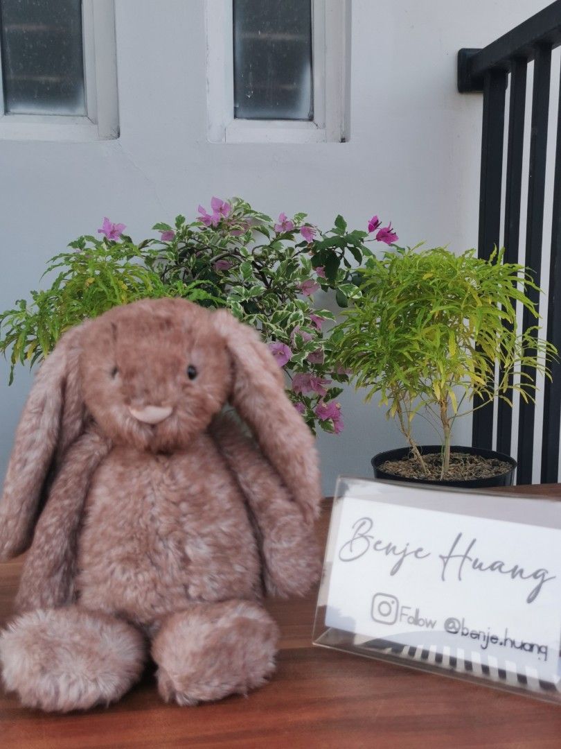 Jellycat Medium Bashful Pecan Bunny, Hobbies & Toys, Toys & Games on