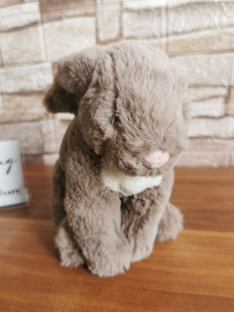 Jellycat Small Riley Beige Rabbit Hobbies Toys Toys Games on Carousell