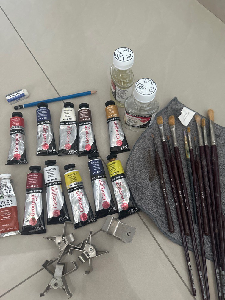 Oil Painting starter kit, oil, windsor oil , Hobbies & Toys