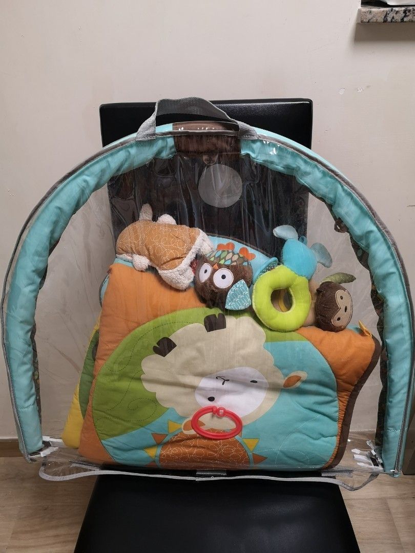 Skip hop hug and hide best sale activity gym