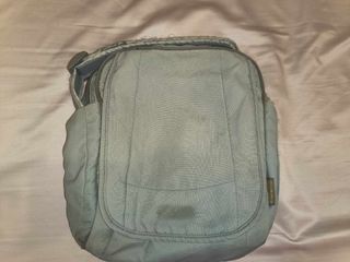 Used Pacsafe LS 200 and Pacsafe laptop bag