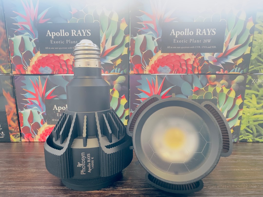 Apollo RAYS UV植物燈(2代), 傢俬＆家居, 園藝, 園藝工具和裝飾品 