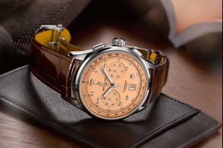 Affordable salmon dial watches top