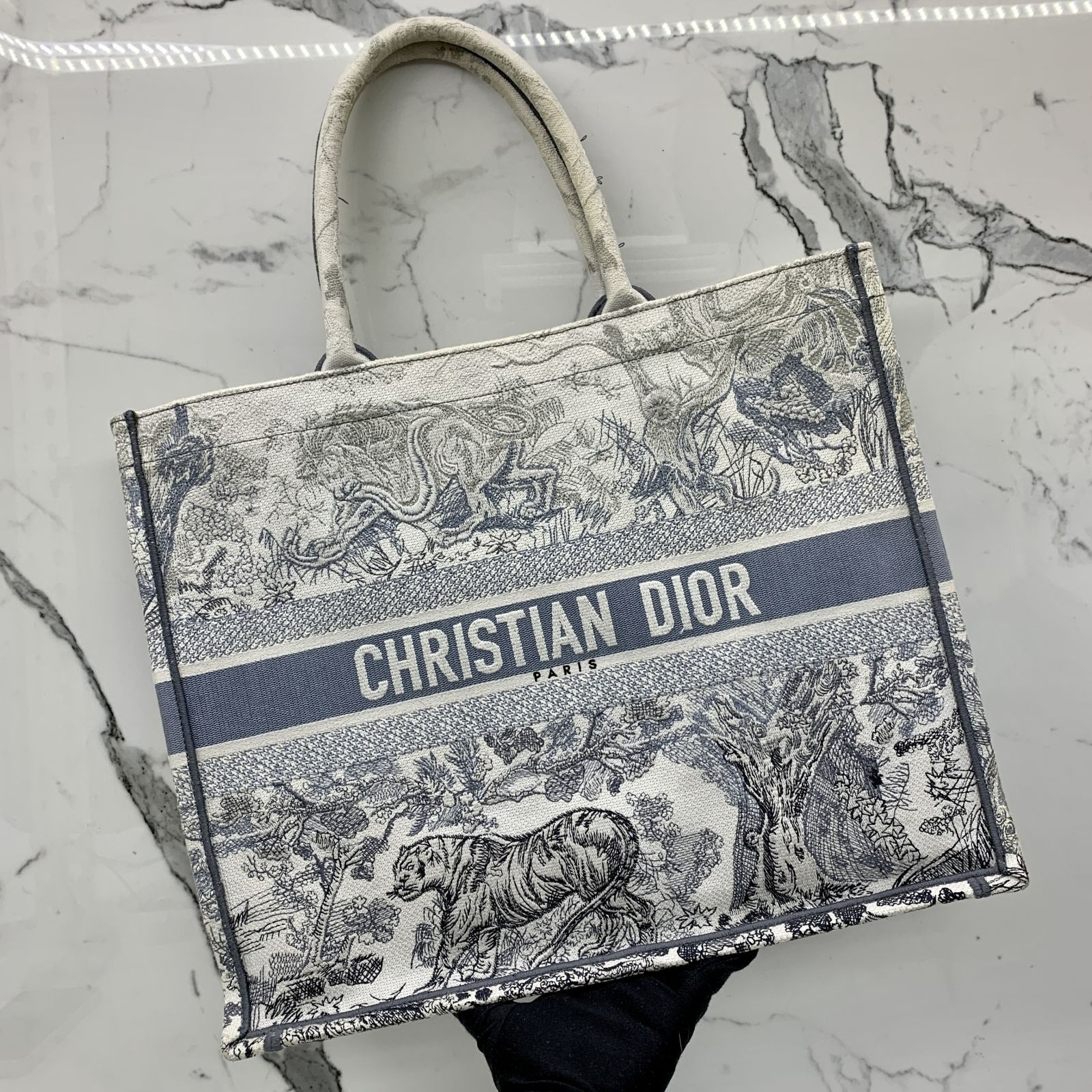 Christian dior bag book tote top