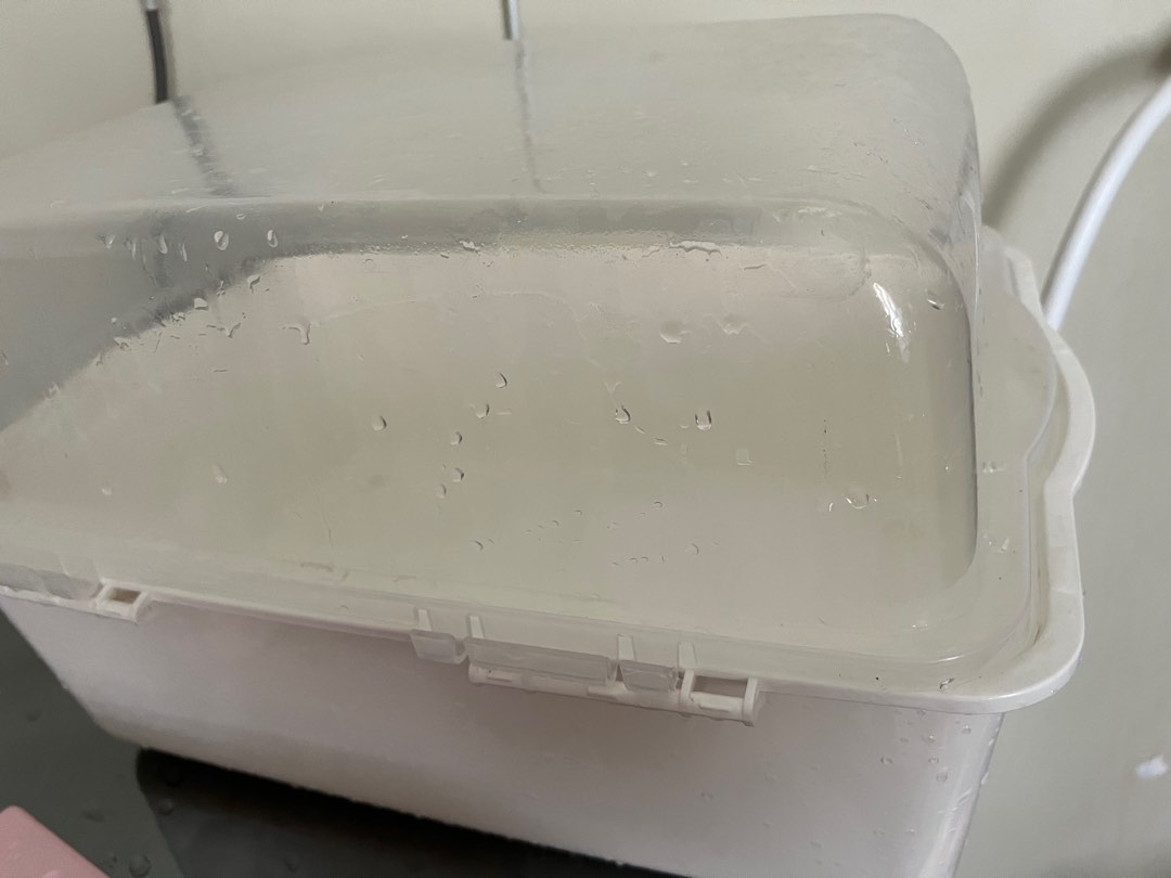 Dish Drainer with Lid, Furniture & Home Living, Furniture, Shelves