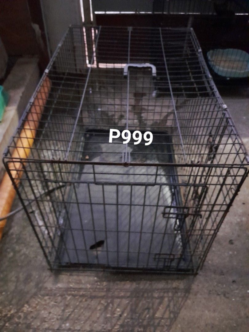 Dog cage big. MARIKINA, Pet Supplies, Homes & Other Pet Accessories on
