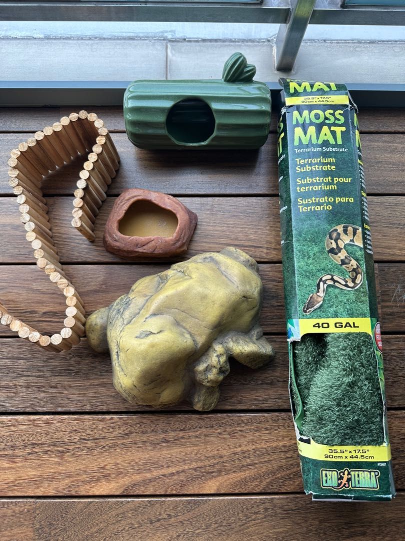 Exo terra Moss mat hide cave feeder accessories Pet Supplies Homes Other Pet Accessories on Carousell
