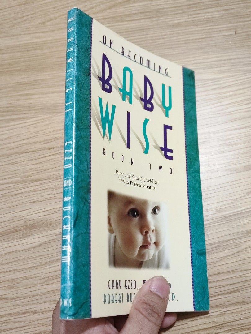 Babywise sale book 2