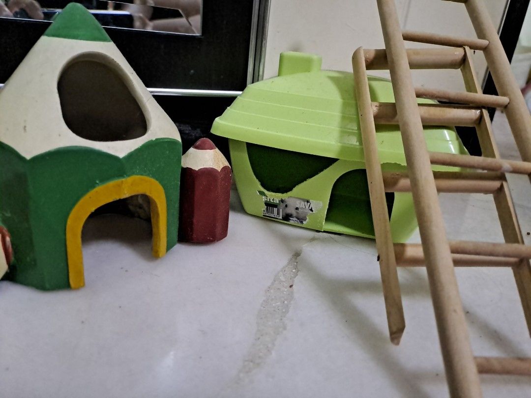 Free hamster toys hotsell