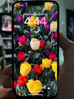 (Category: ) located in . Submitted by deeceet (Listing ID 1270445013, Image 1). Description: .