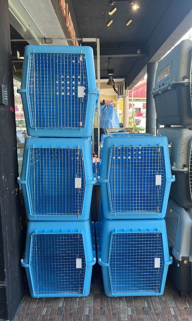 Large Pp60 IATA approved airline dog cat carrier container crate, Pet